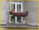 Flowers on Balcony